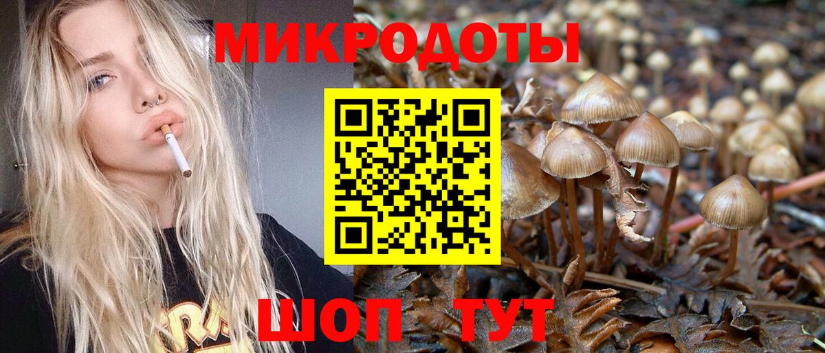 Псилоцибиновые грибы Psilocybine cubensis  Вход с VPN  Псилоцибиновые грибы прущие грибы  Аша 